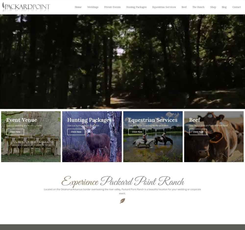 Megaphone Pro Solutions - Client Site, Packard Point Ranch